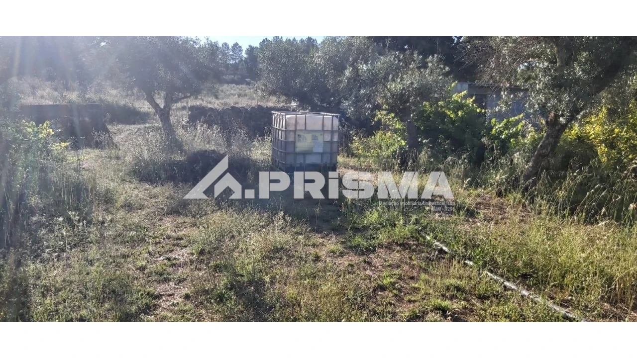 Terreno para Venda em Póvoa de Rio de Moinhos e Cafede Foto 6