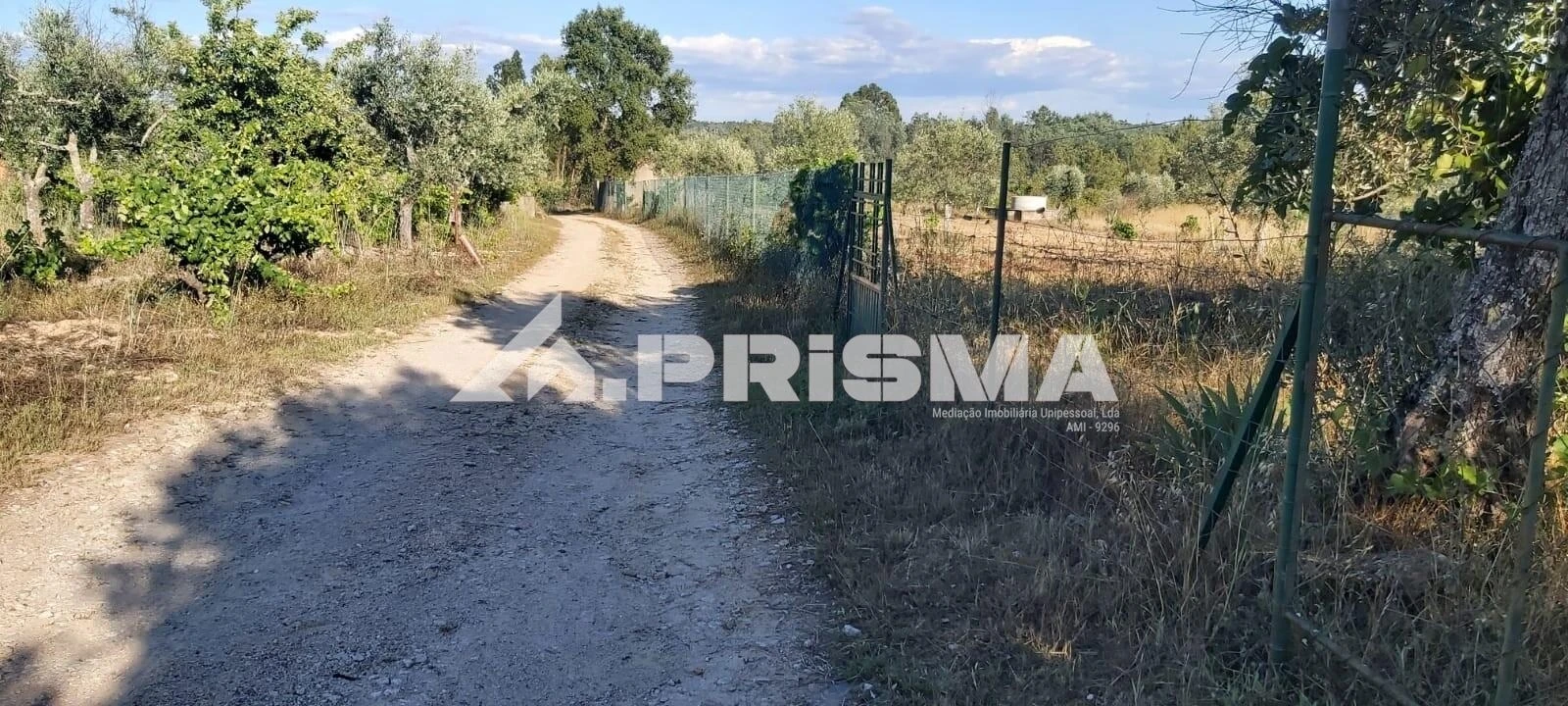 Terreno para Venda em Póvoa de Rio de Moinhos e Cafede Foto 6