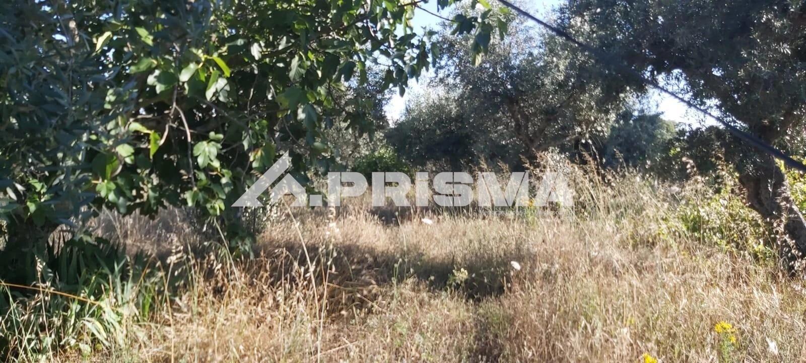 Terreno para Venda em Póvoa de Rio de Moinhos e Cafede Foto 2