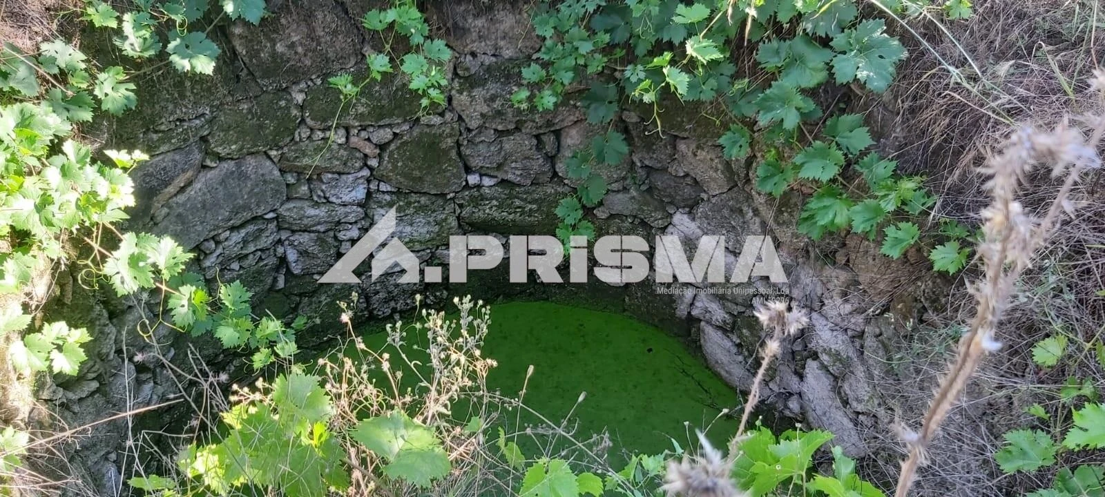 Terreno para Venda em Póvoa de Rio de Moinhos e Cafede Foto 3