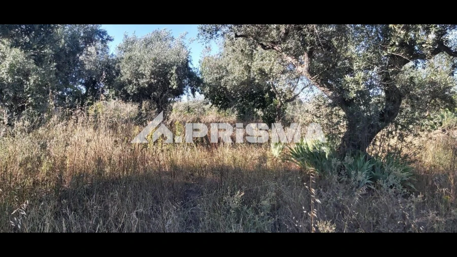 Terreno para Venda em Póvoa de Rio de Moinhos e Cafede