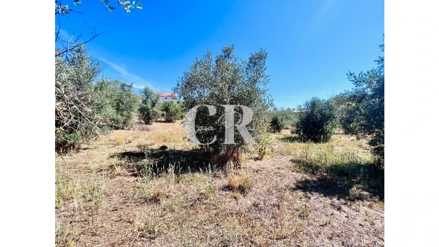 Moradia T3 para Venda em Graça Foto 30