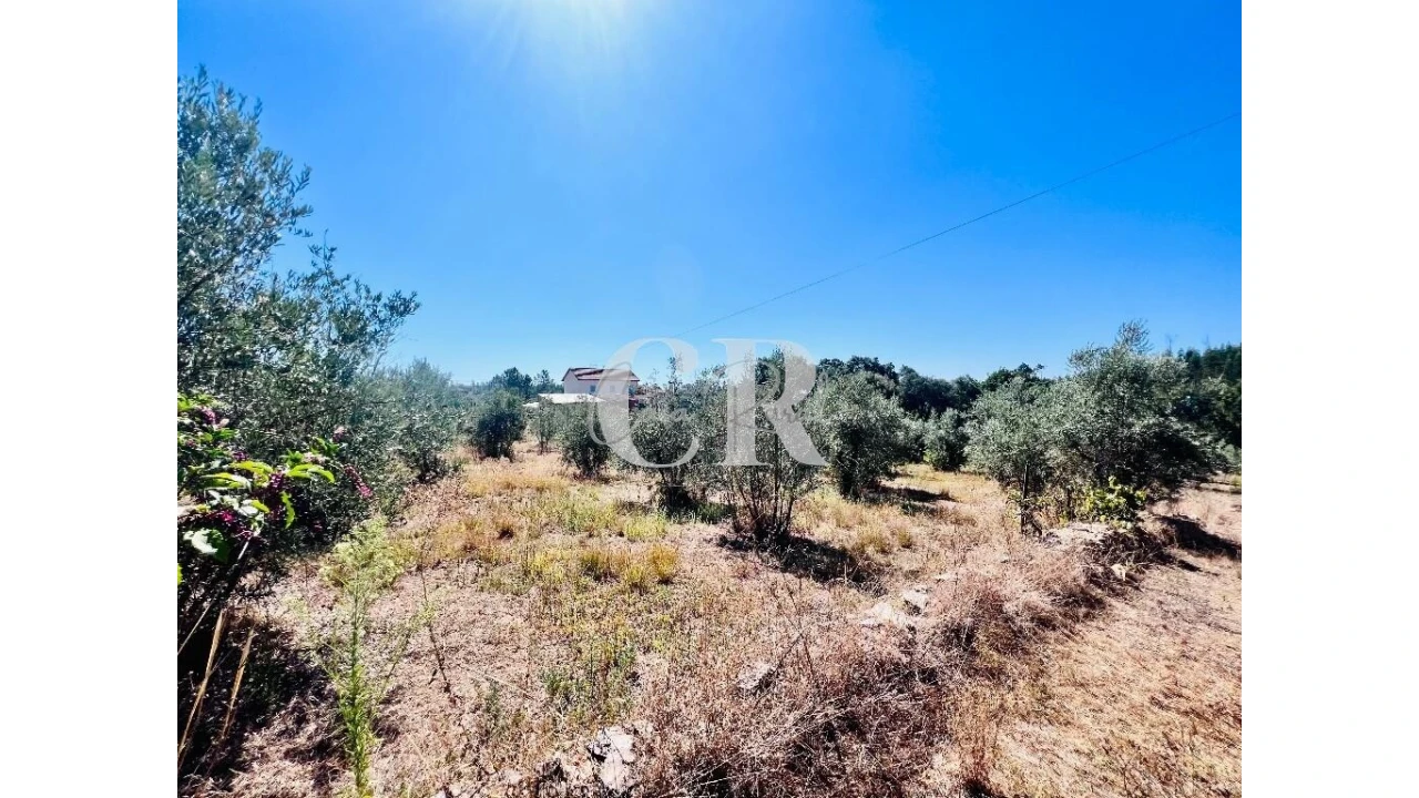 Moradia T3 para Venda em Graça Foto 29