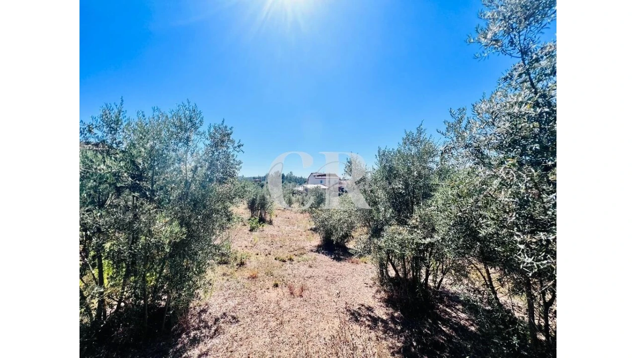 Moradia T3 para Venda em Graça Foto 28