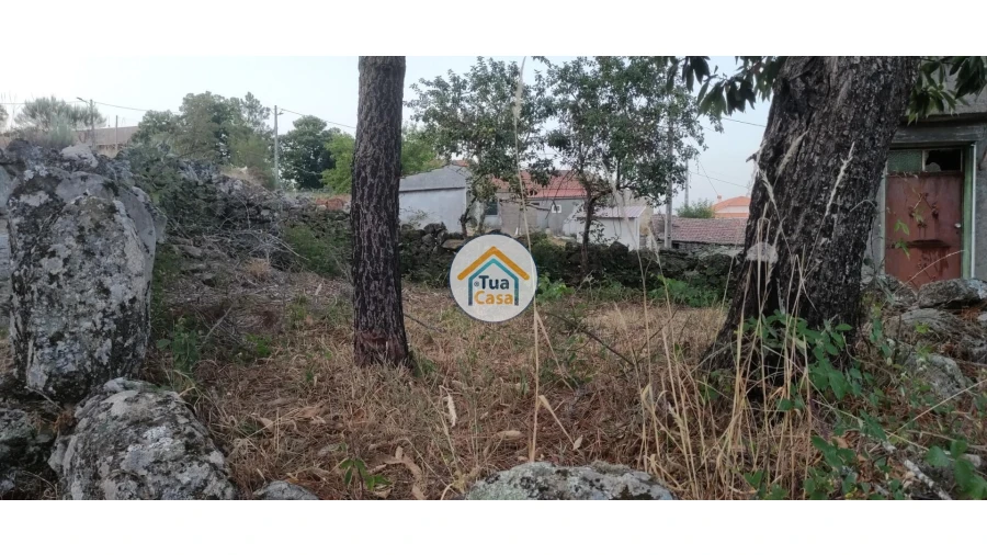 Moradia T1 para Venda em Mezio e Moura Morta Foto 13