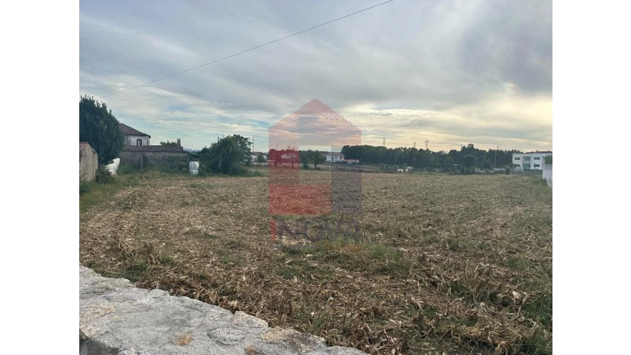 Quinta T8 para Venda em Soutelo Foto 8