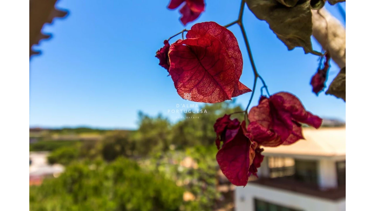 Apartamento T1 para Arrendamento férias em Albufeira e Olhos de Água Foto 18