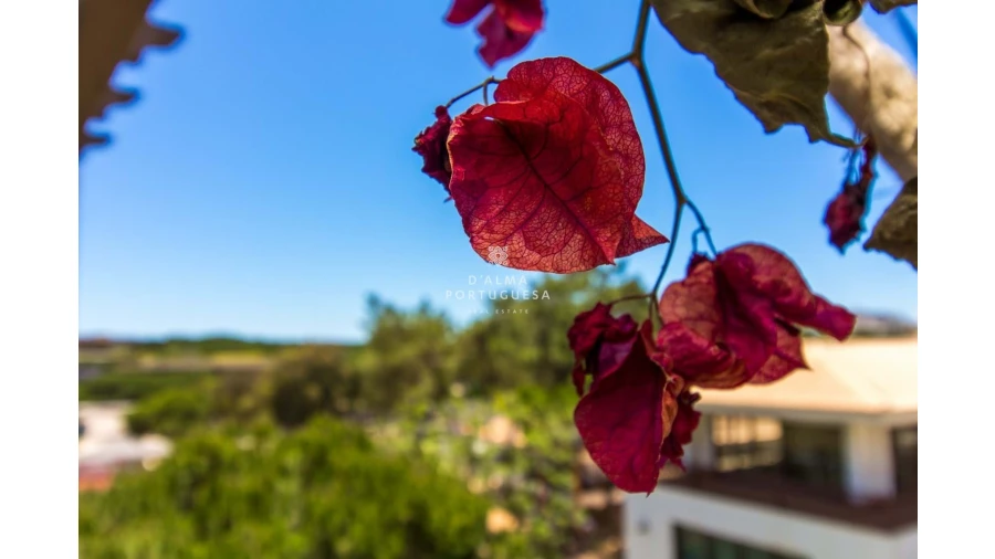 Apartamento T1 para Arrendamento férias em Albufeira e Olhos de Água Foto 18