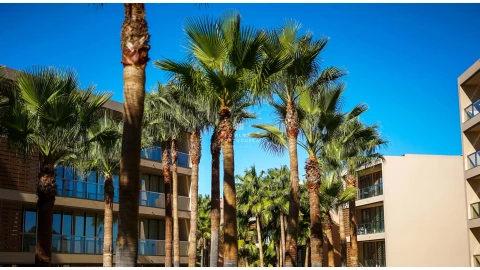 Apartamento T3 para Arrendamento férias em Albufeira e Olhos de Água