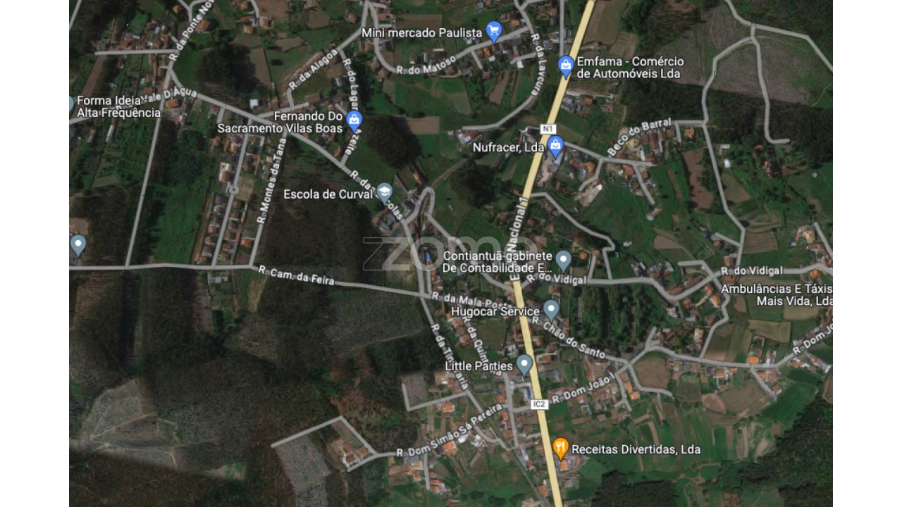 Terreno para Venda em Pinheiro da Bemposta, Travanca e Palmaz Foto 13