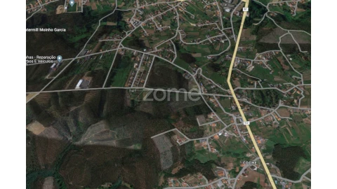 Terreno para Venda em Pinheiro da Bemposta, Travanca e Palmaz