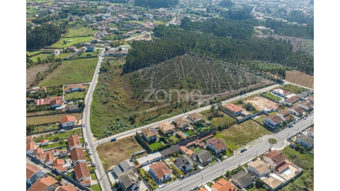 Terreno para Venda em Pinheiro da Bemposta, Travanca e Palmaz