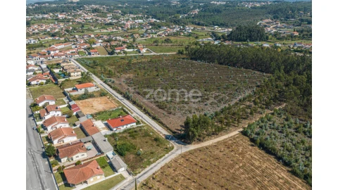 Terreno para Venda em Pinheiro da Bemposta, Travanca e Palmaz