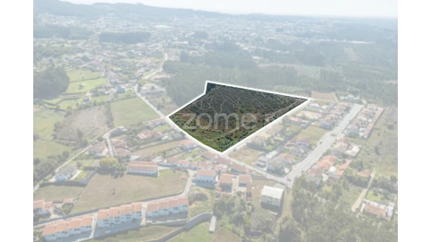 Terreno para Venda em Pinheiro da Bemposta, Travanca e Palmaz
