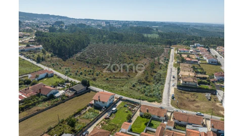 Terreno para Venda em Pinheiro da Bemposta, Travanca e Palmaz
