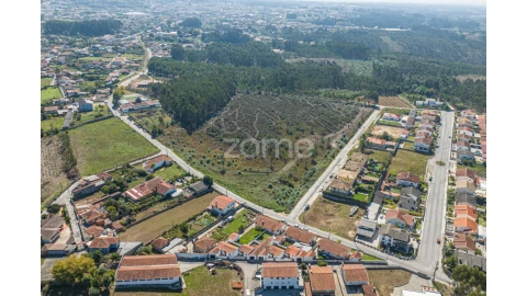 Terreno para Venda em Pinheiro da Bemposta, Travanca e Palmaz