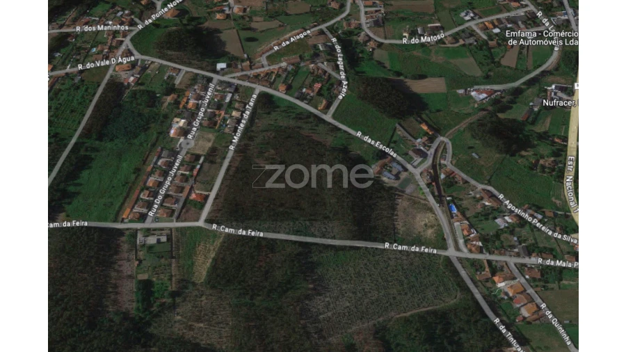 Terreno para Venda em Pinheiro da Bemposta, Travanca e Palmaz Foto 15