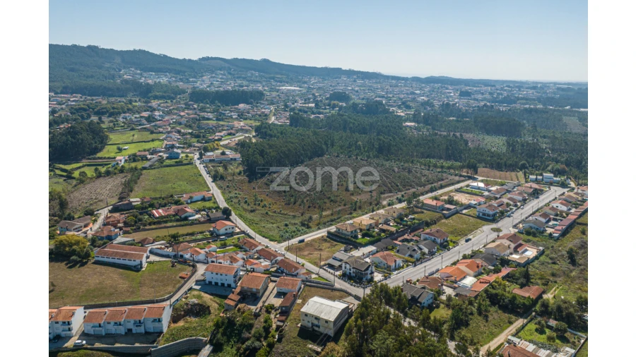 Terreno para Venda em Pinheiro da Bemposta, Travanca e Palmaz Foto 6