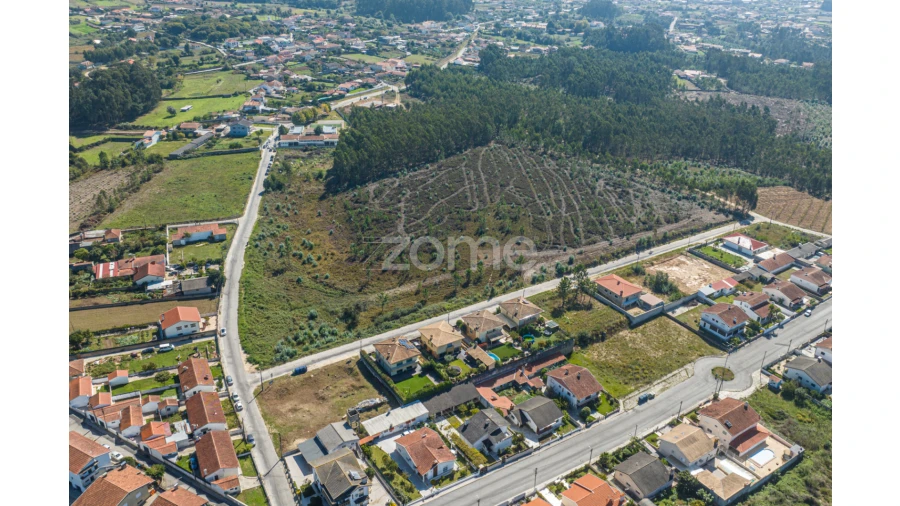 Terreno para Venda em Pinheiro da Bemposta, Travanca e Palmaz Foto 9