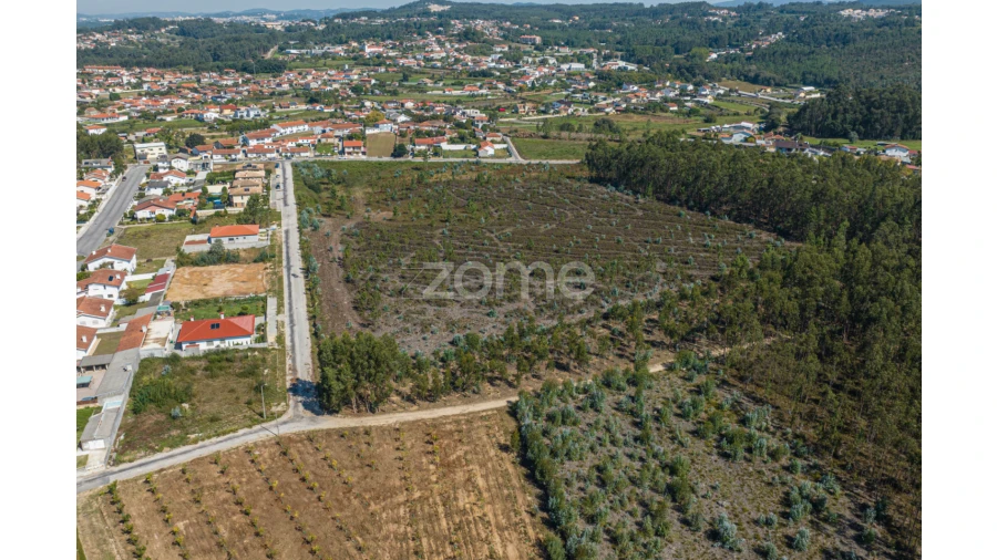 Terreno para Venda em Pinheiro da Bemposta, Travanca e Palmaz Foto 12