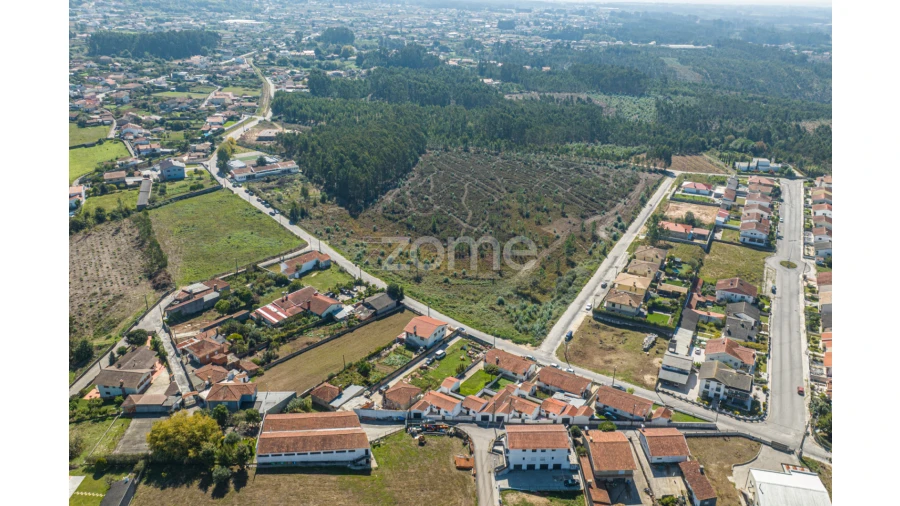 Terreno para Venda em Pinheiro da Bemposta, Travanca e Palmaz Foto 4