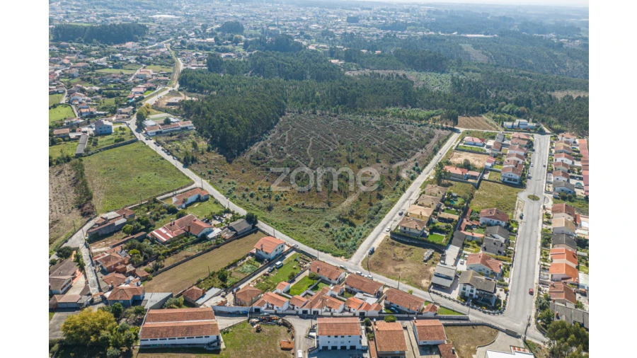 Terreno para Venda em Pinheiro da Bemposta, Travanca e Palmaz Foto 3