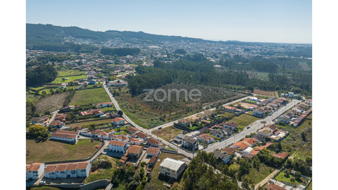Terreno para Venda em Pinheiro da Bemposta, Travanca e Palmaz Foto 6