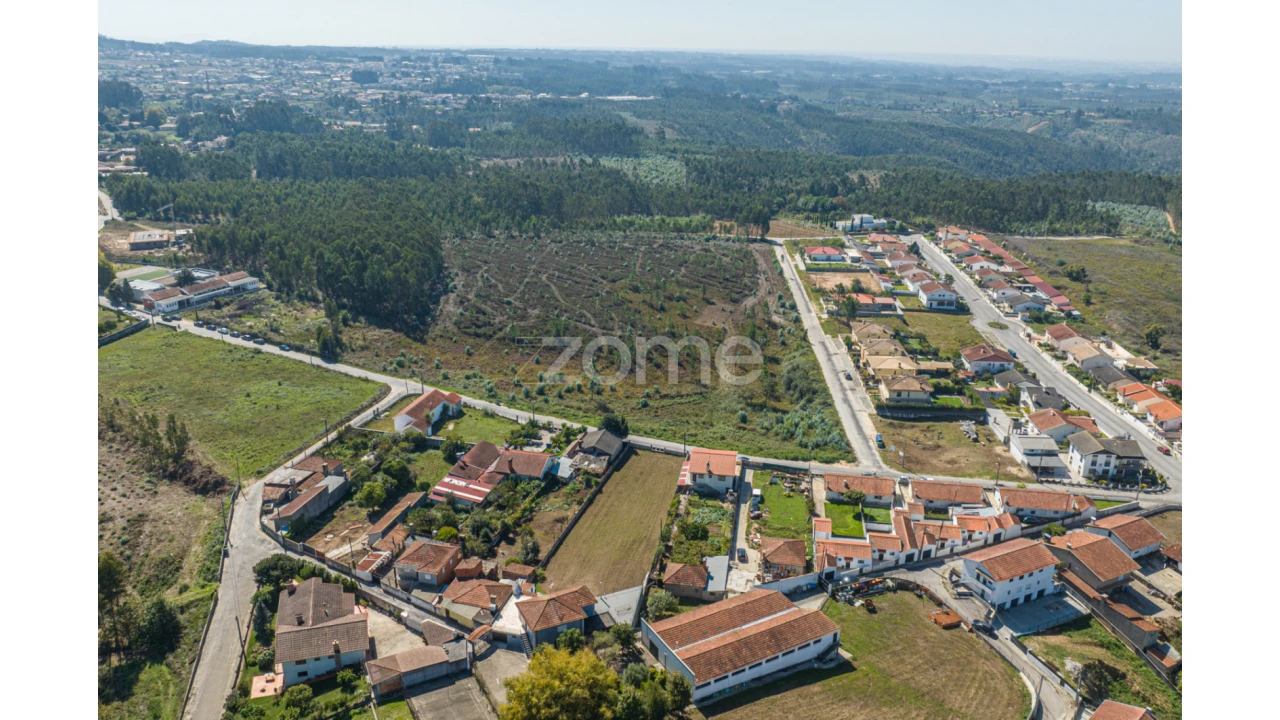 Terreno para Venda em Pinheiro da Bemposta, Travanca e Palmaz Foto 8