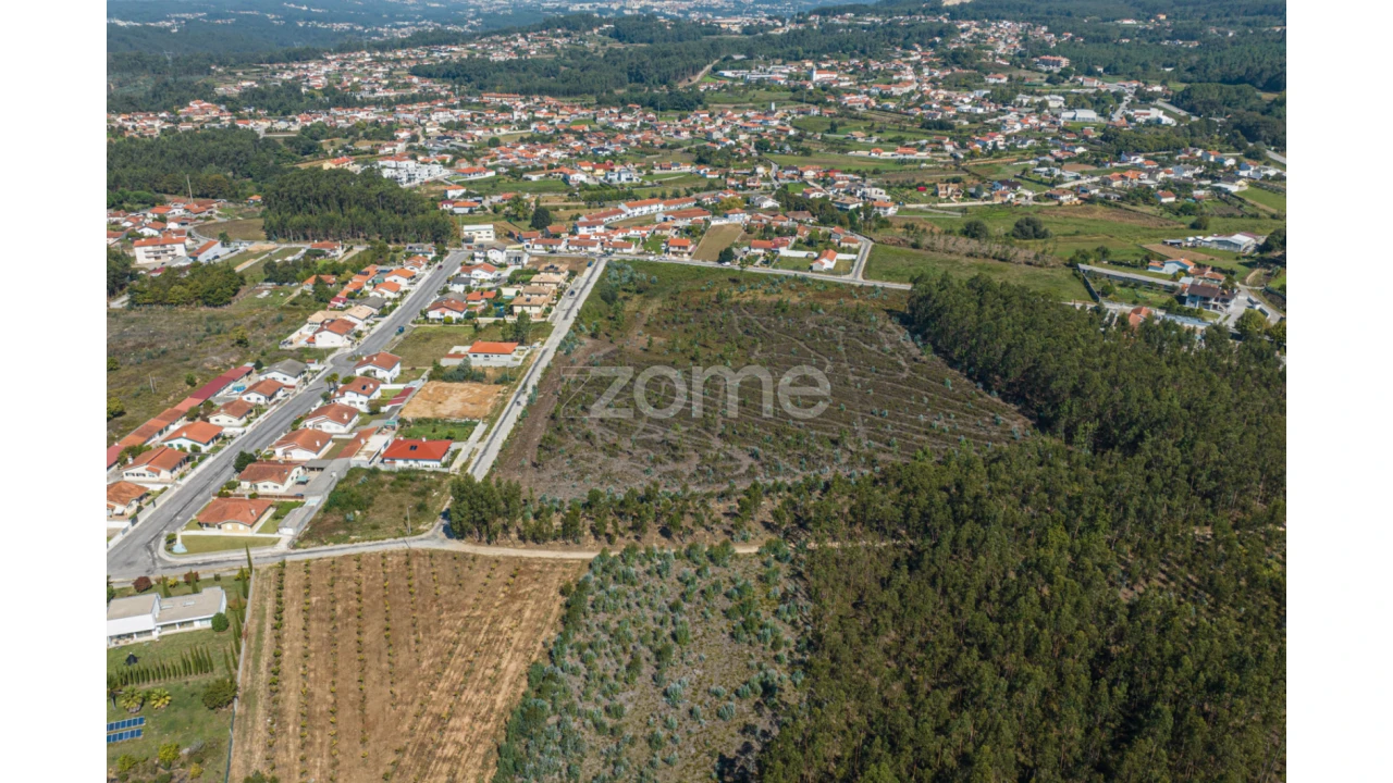Terreno para Venda em Pinheiro da Bemposta, Travanca e Palmaz Foto 10