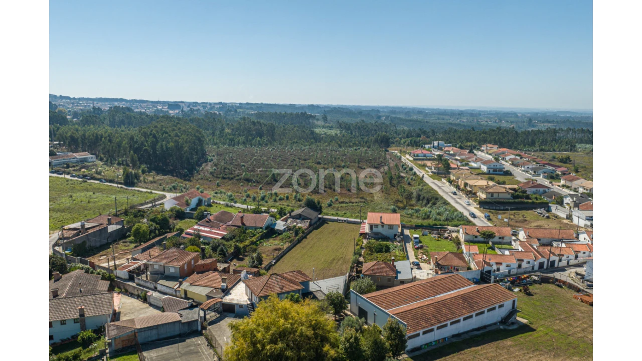Terreno para Venda em Pinheiro da Bemposta, Travanca e Palmaz Foto 7