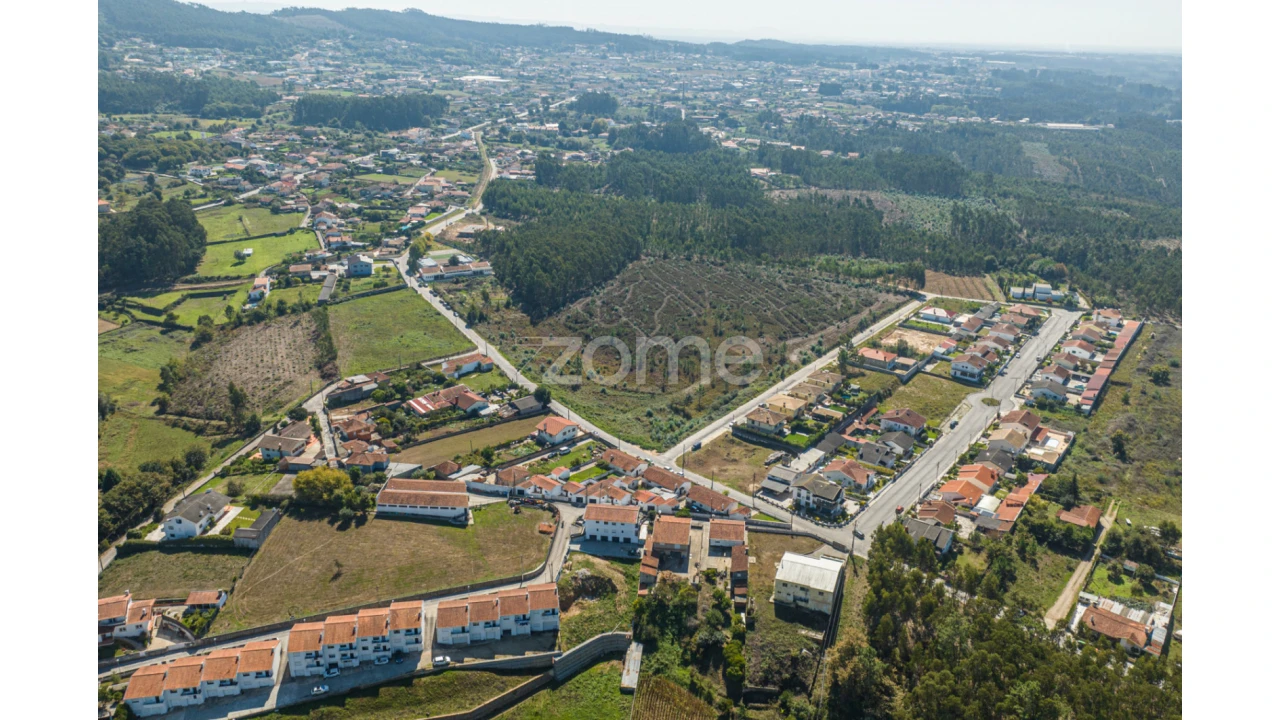 Terreno para Venda em Pinheiro da Bemposta, Travanca e Palmaz Foto 5