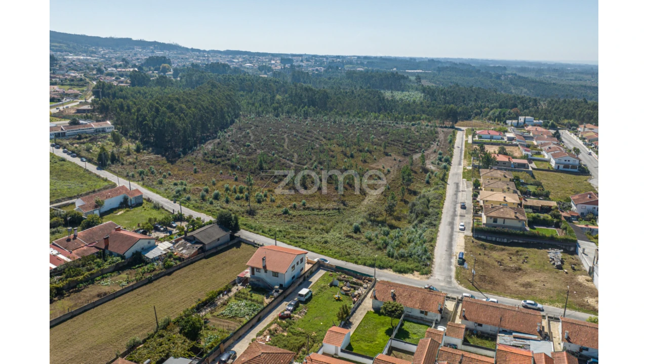 Terreno para Venda em Pinheiro da Bemposta, Travanca e Palmaz Foto 11