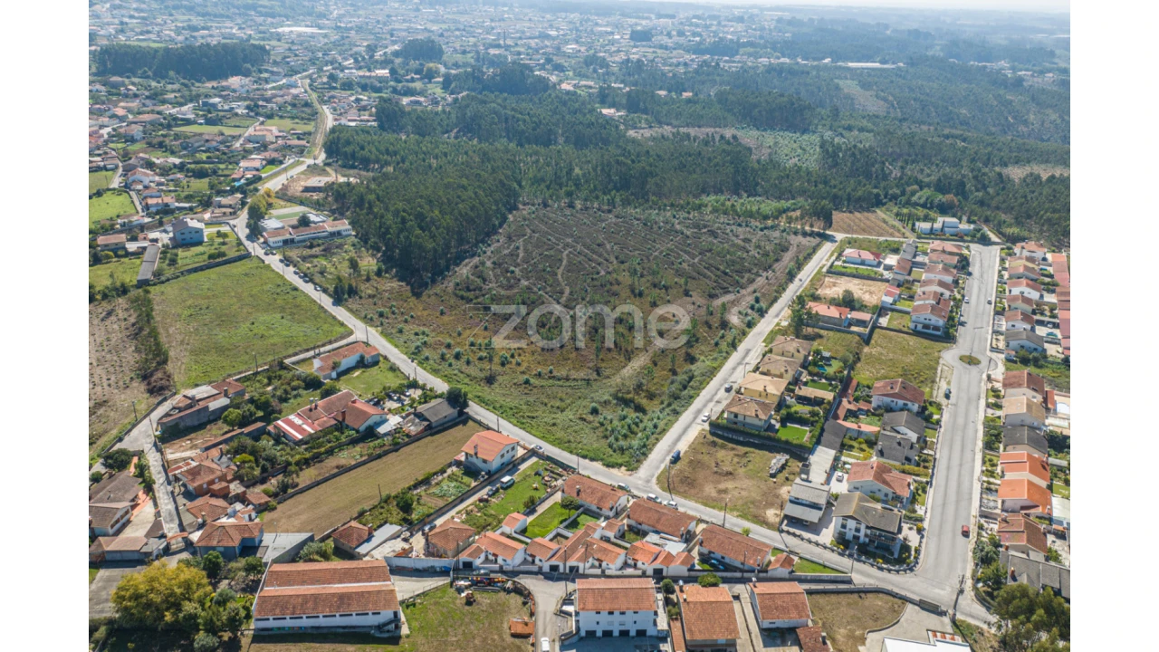 Terreno para Venda em Pinheiro da Bemposta, Travanca e Palmaz Foto 3
