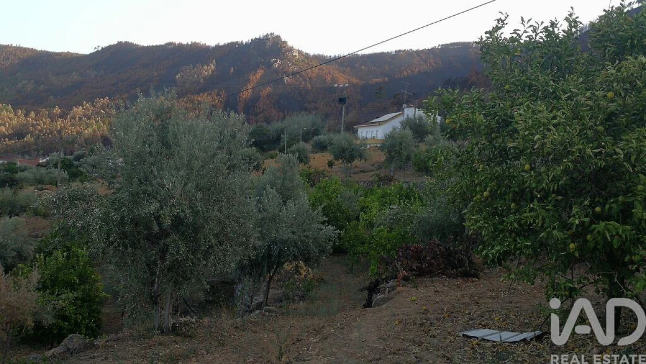 Moradia T4 para Venda em Montes da Senhora Foto 23