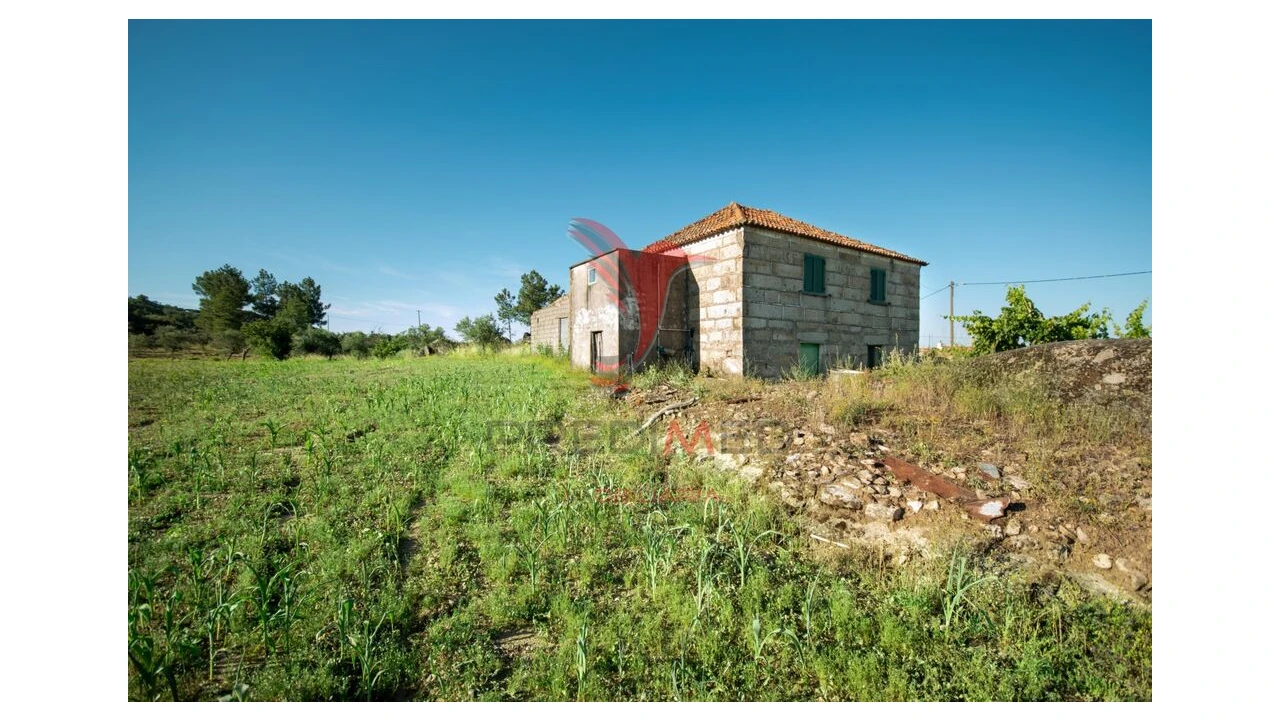 Quinta T6 para Venda em Moreira de Rei Foto 1