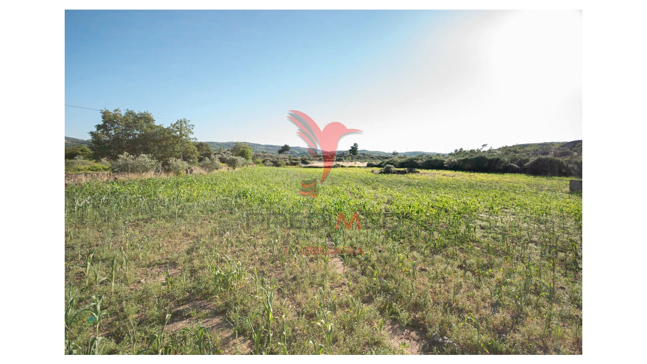 Quinta T6 para Venda em Moreira de Rei Foto 12