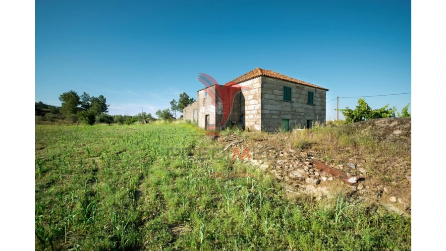 Quinta T6 para Venda em Moreira de Rei