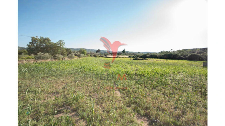 Quinta T6 para Venda em Moreira de Rei Foto 12