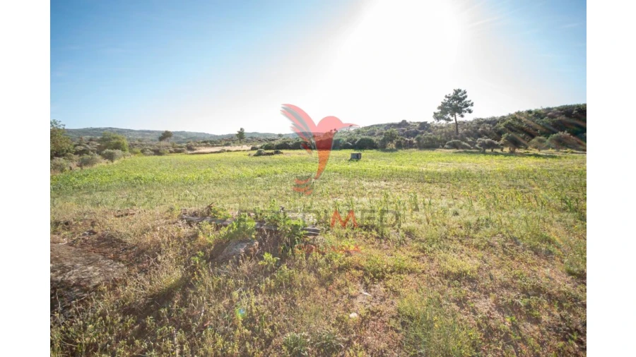 Quinta T6 para Venda em Moreira de Rei Foto 11