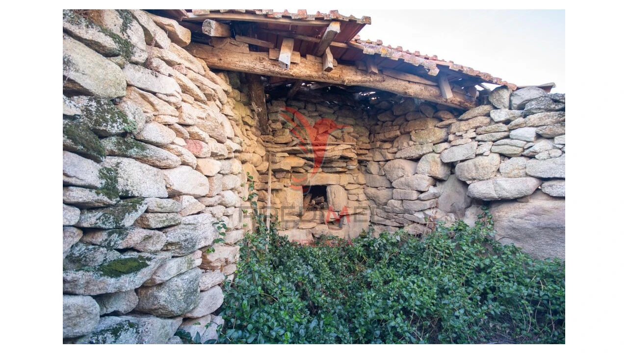 Moradia T3 para Venda em Trancoso (São Pedro e Santa Maria) e Souto Maior Foto 7