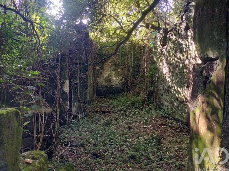 Moradia T3 para Venda em São João Foto 23