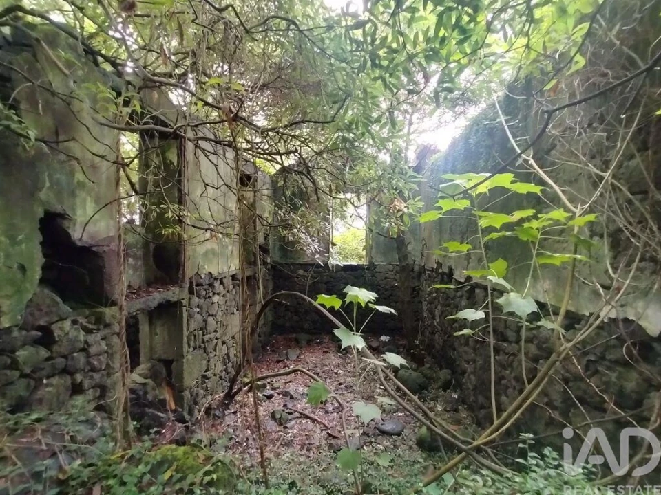 Moradia T3 para Venda em São João Foto 10