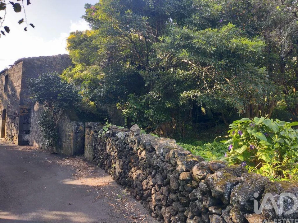 Moradia T3 para Venda em São João Foto 18