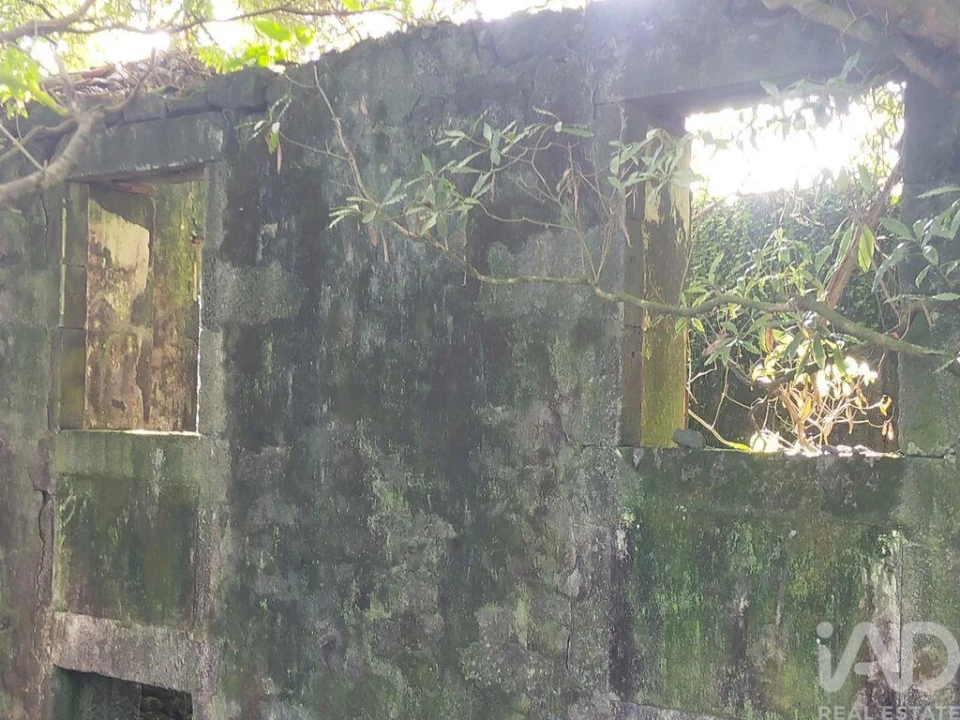 Moradia T3 para Venda em São João Foto 21