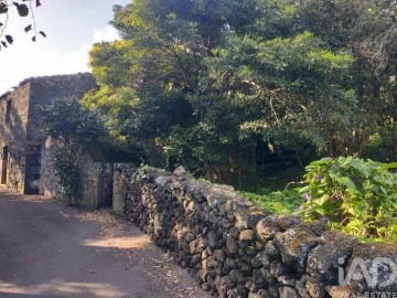 Moradia T3 para Venda em São João