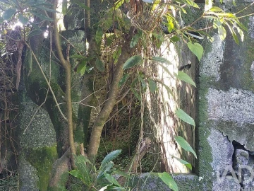 Moradia T3 para Venda em São João