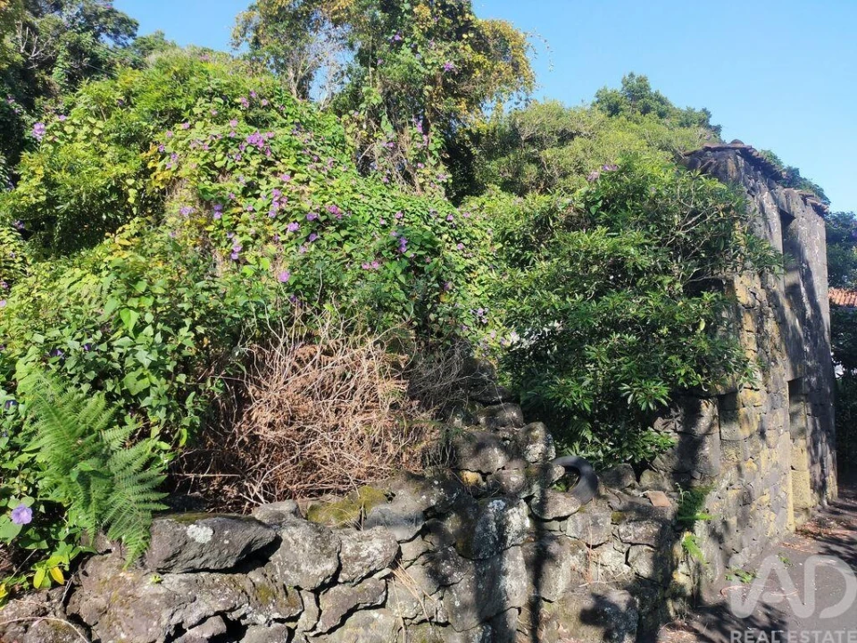 Moradia T3 para Venda em São João Foto 15