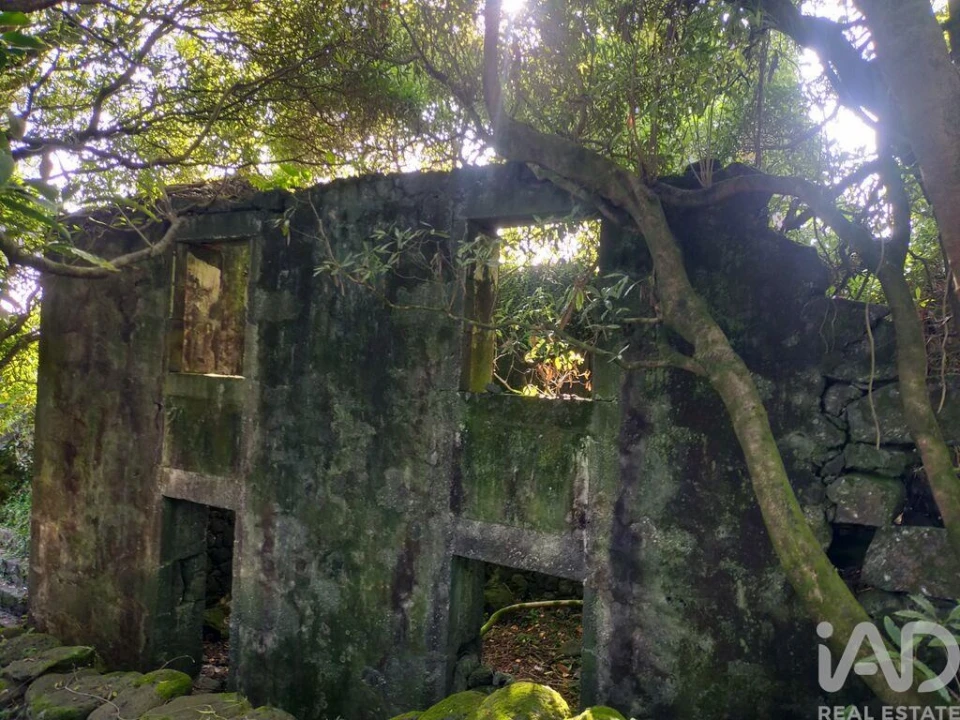 Moradia T3 para Venda em São João Foto 4