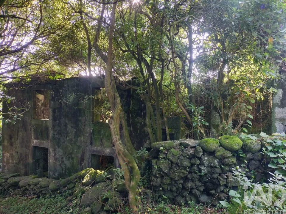 Moradia T3 para Venda em São João Foto 1