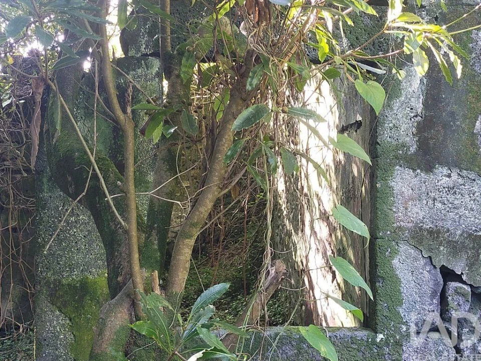 Moradia T3 para Venda em São João Foto 22